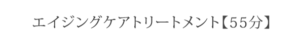 ファースト ノエビアスタイル コース詳細
