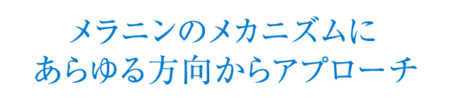 メラニンのメカニズムにあらゆる方向からアプローチ