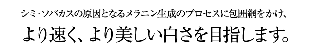 シミ・ソバカスの原因となるメラニン生成のプロセスに包囲網をかけ、より速く、より美しい白さを目指します。
