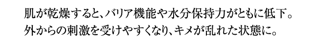 肌が乾燥すると、バリア機能や水分保持力がともに低下。外からの刺激を受けやすくなり、キメが乱れた状態に。