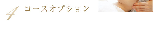 4.コースオプション