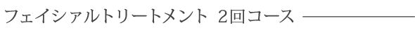 フェイシァルトリートメント 2回コース