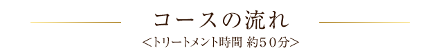 コースの流れ＜トリートメント時間 約50分＞