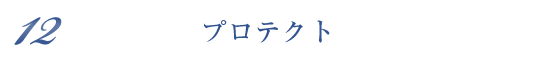 プロテクト