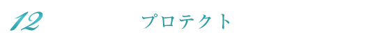 プロテクト
