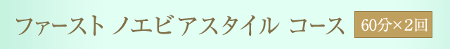 ファースト ノエビアスタイル コース