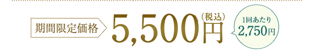5,500円(税込)
