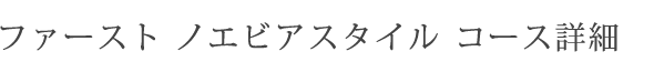 ファースト ノエビアスタイル コース詳細