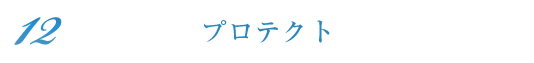 プロテクト
