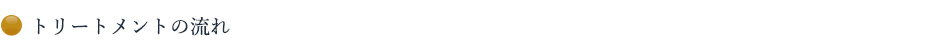 トリートメントの流れ